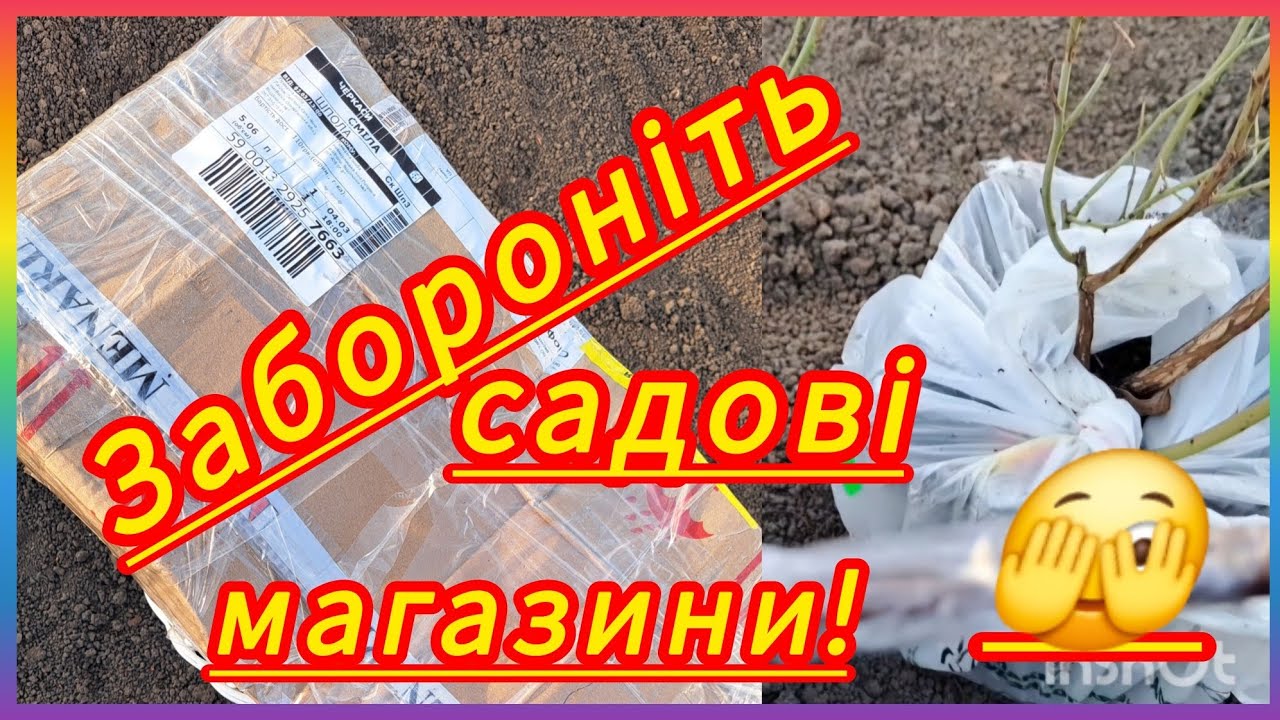 РОЗПАКОВОЧКА🫣Що на цей раз?Фотинія.Сад моєї мрії!#українськийконтент #розпаковка #розпакування