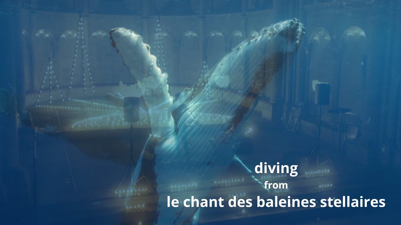 le chant des baleines stellaires (4/6) : diving [CLIP] 🐳🐳🐳✨ in Geneva Cathedral - Ingrid Obled