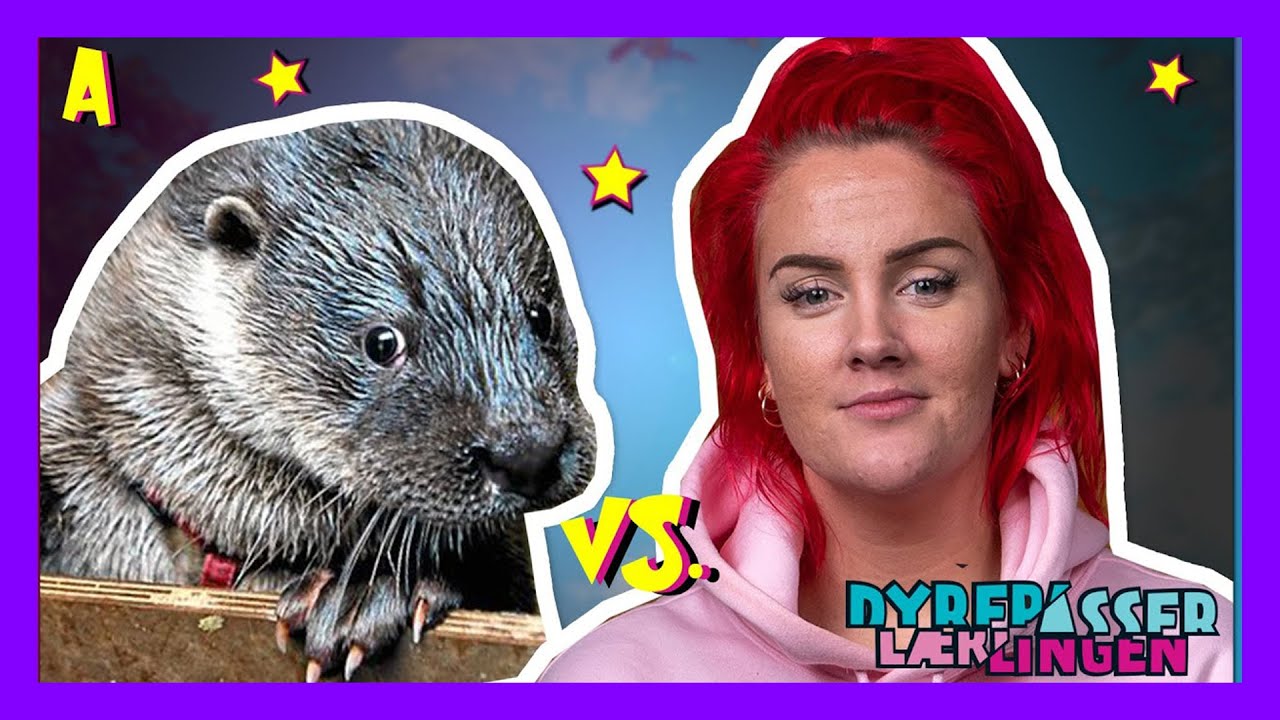 Nellie: - Neeeii, jeg har FOBI mot sånne...🐛🐛JEG SKJELVER! 🤯🤯🤯 VINNEREN KÅRES! 🏆👑