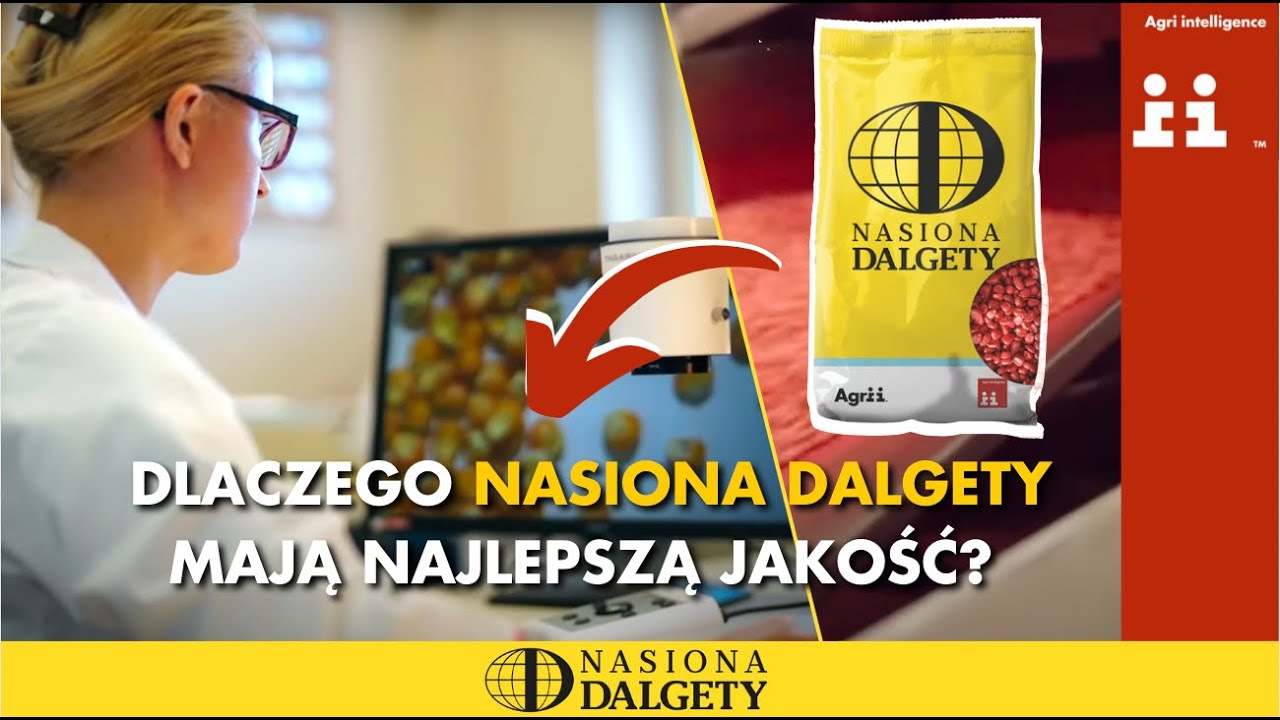 Jak są zaprawiane Nasiona Dalgety w zakładzie produkcyjnym Agrii Polska?