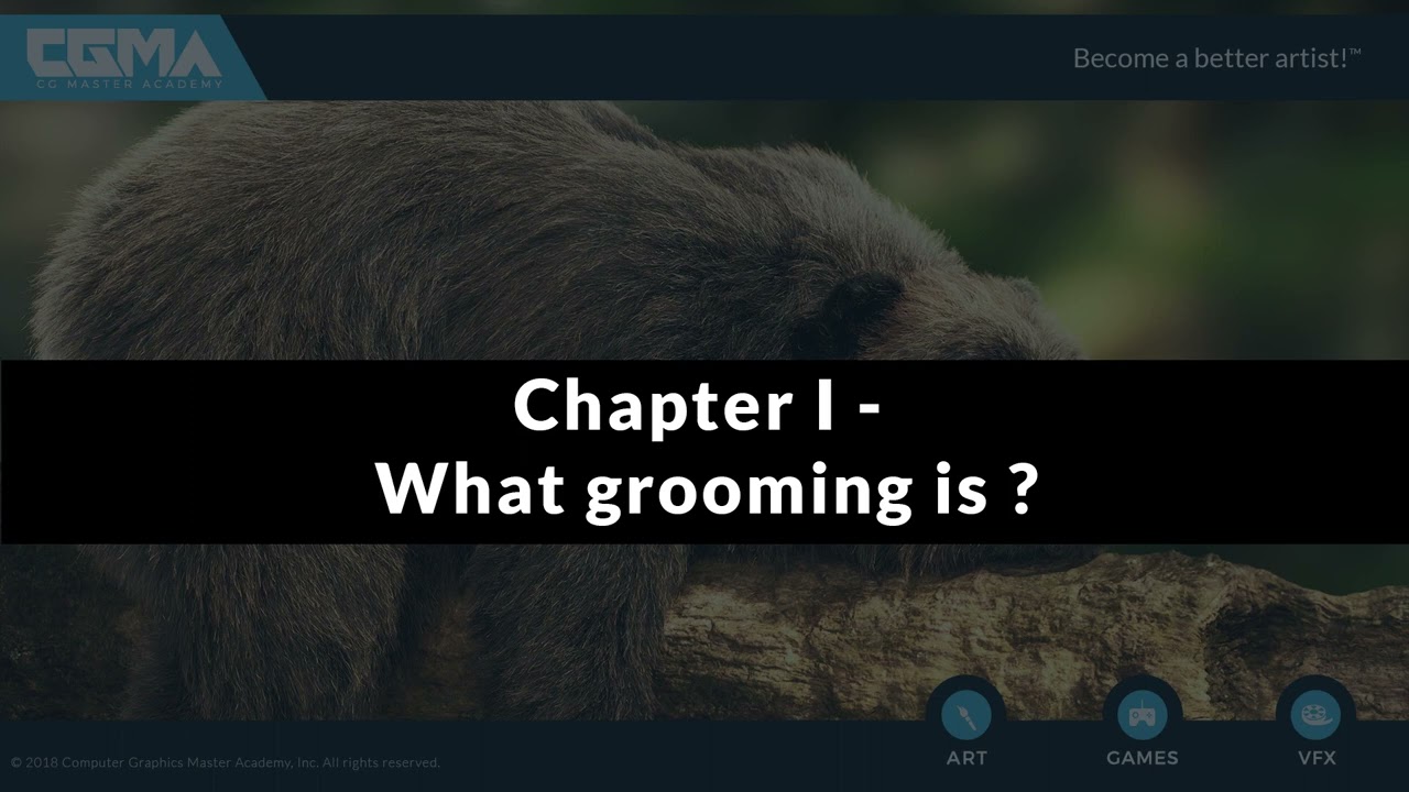 GROOMING COURSE  - CHAPTER 001 - WHAT IS GROOMING?