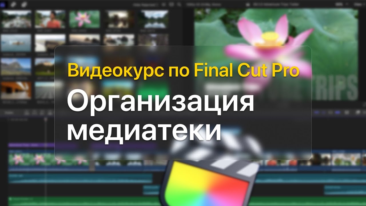 🗂 Организация медиатеки — курс уроков по Final Cut Pro