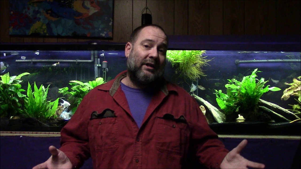 Stop Getting Overly Stressed About Nitrates