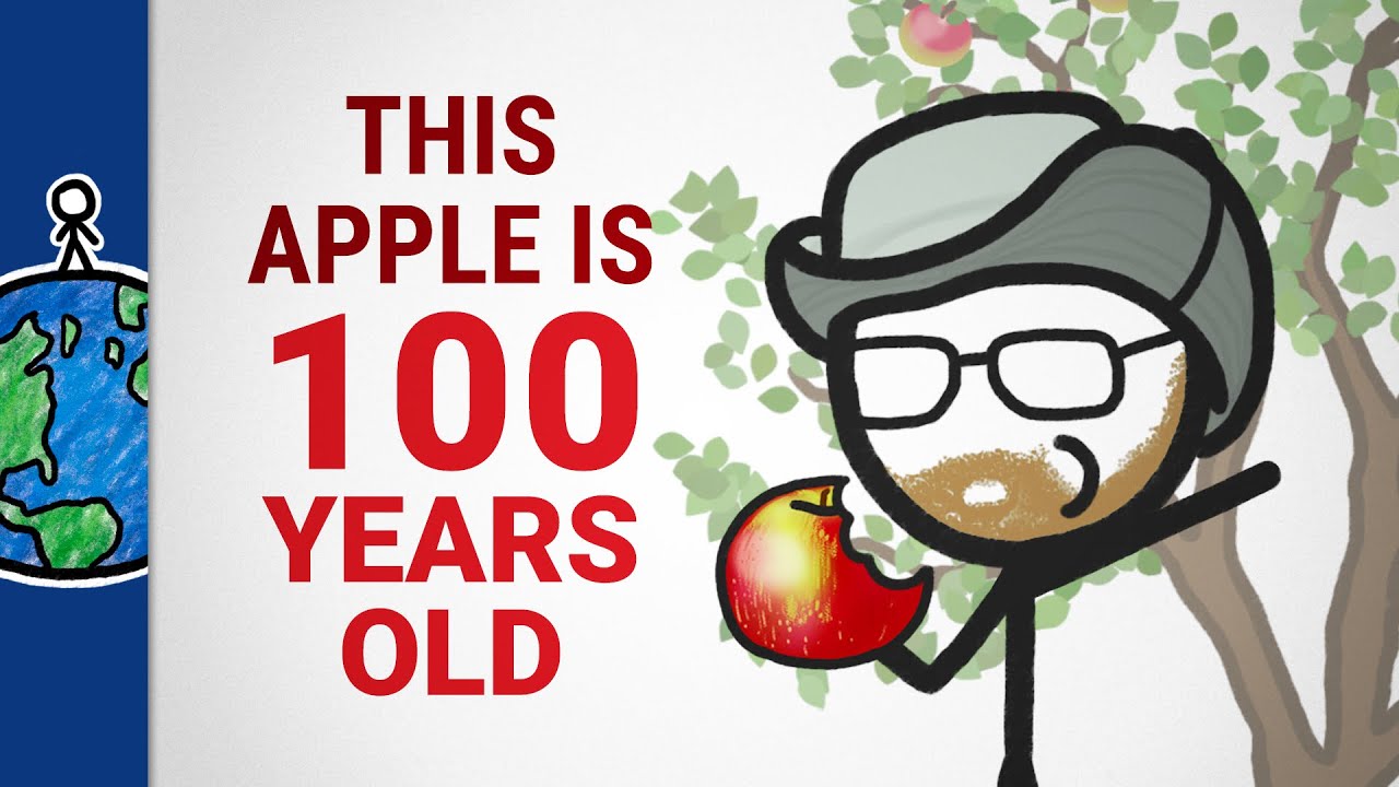 Why It&rsquo;s HARD To Bring A New Apple To Market
