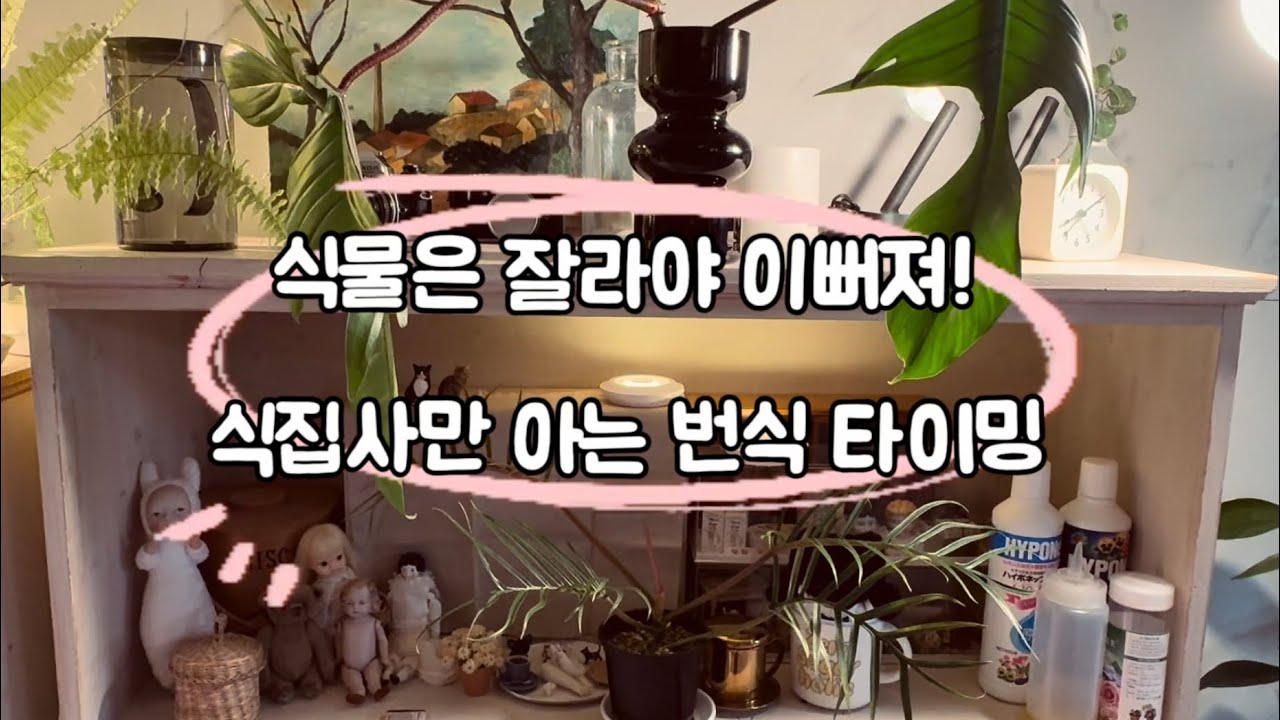 잎 자르고, 번식하는 일상(힐링 되는시간)