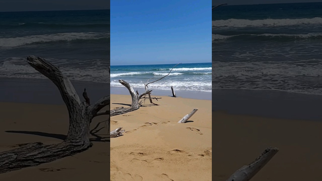 spiaggia di eloro              #sicilia #noto #nature