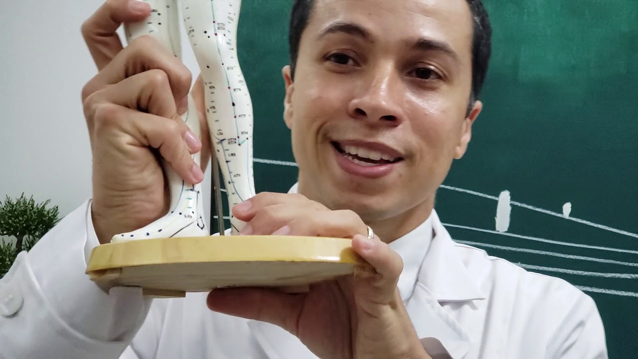 Pontos para Zumbido e Ansiedade - Desarmonia RIM-CORAÇÃO I Gustavo Lima 084/365