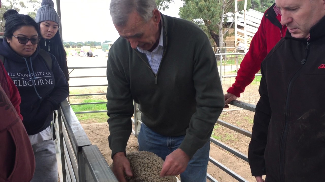 Wool classing workshop