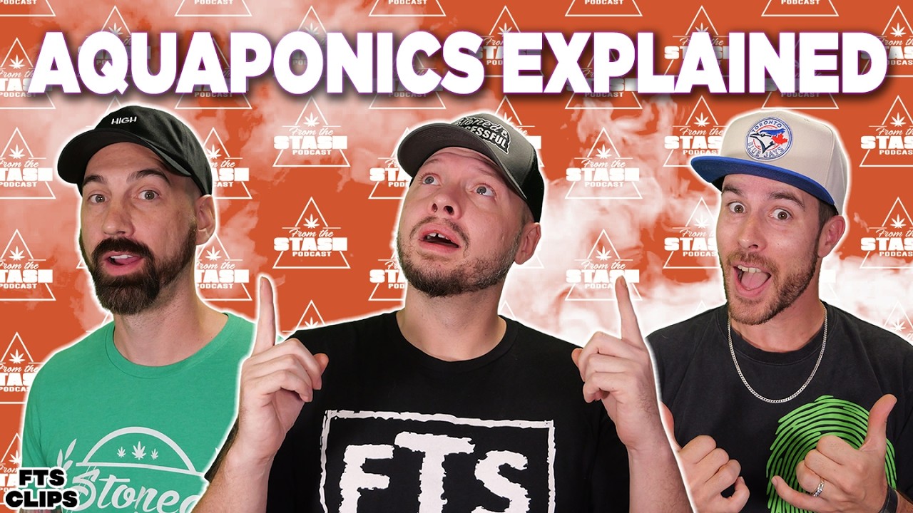 Понимание аквапоники: важные моменты, которые нужно знать - FTS Clips
