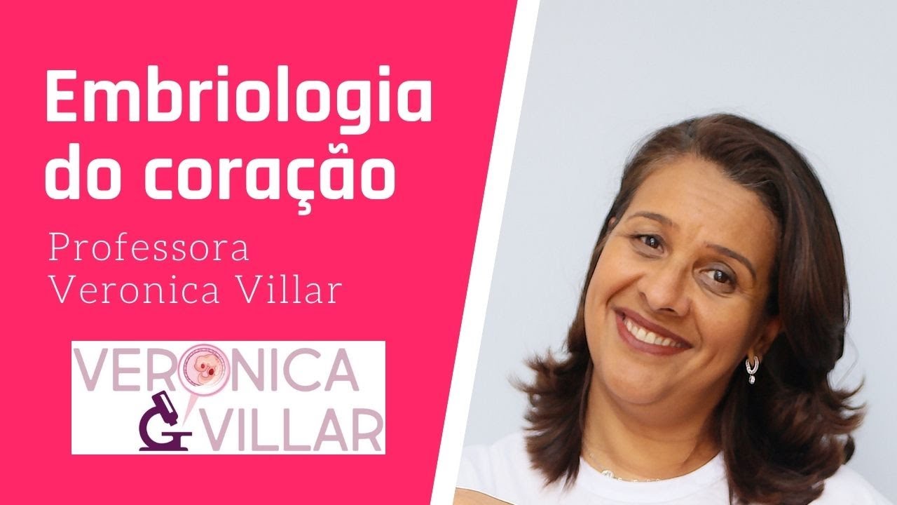 Embriologia do coração.