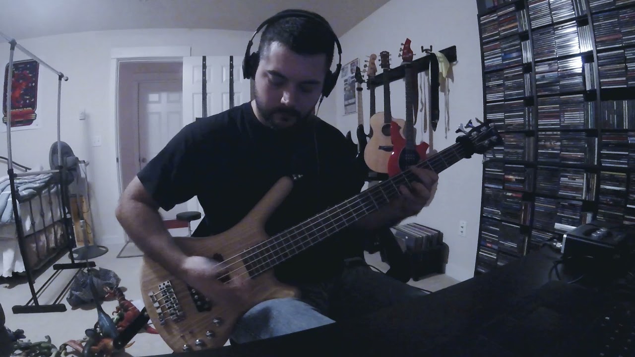 Incubus - "Just a Phase" (bass cover)