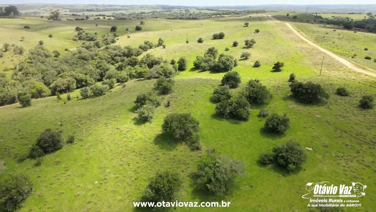 🌾 Em busca de uma propriedade rural vers&aacute;til no 4&ordm; Distrito de Piratini/RS?
