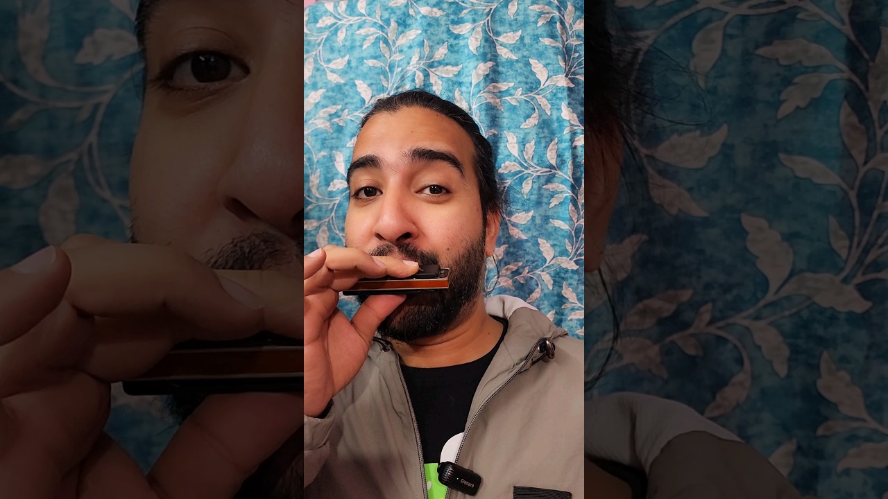mouth organ Harmonica HA1100 Key C 10-Hole  