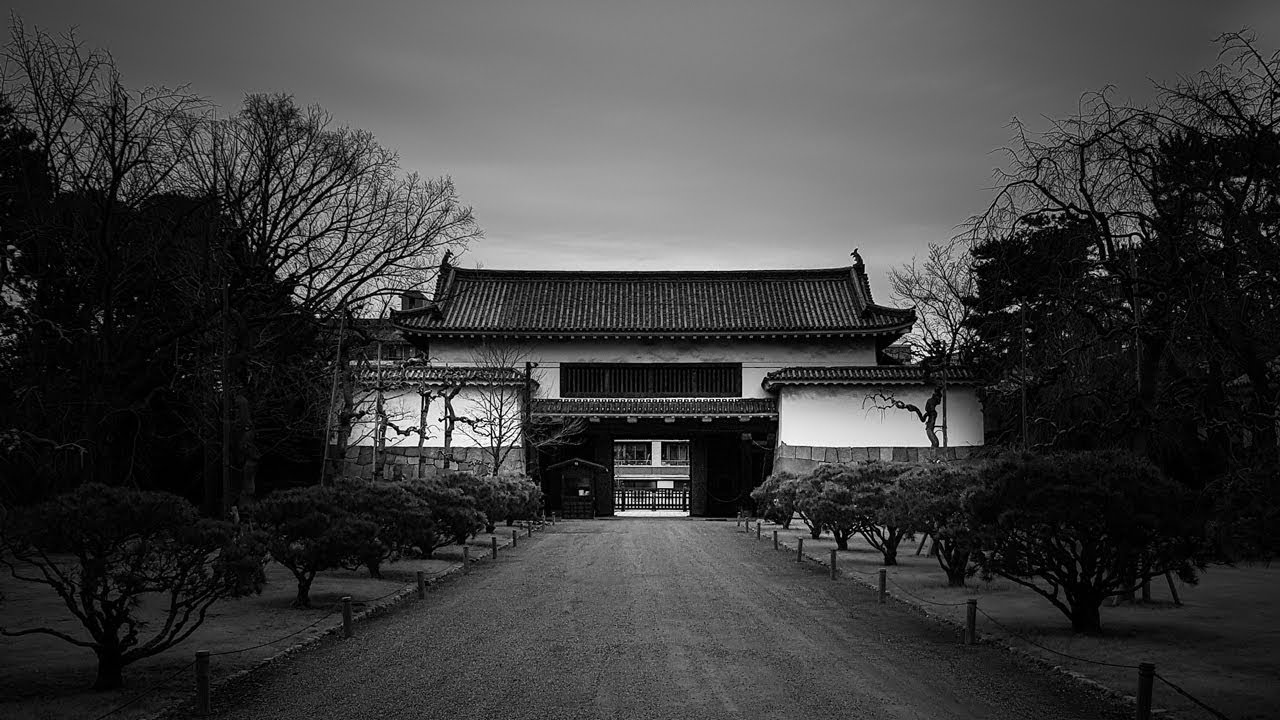 Black and White Editing in Lightroom Mobile - Moody Dark Tutorial in Kyoto, Japan