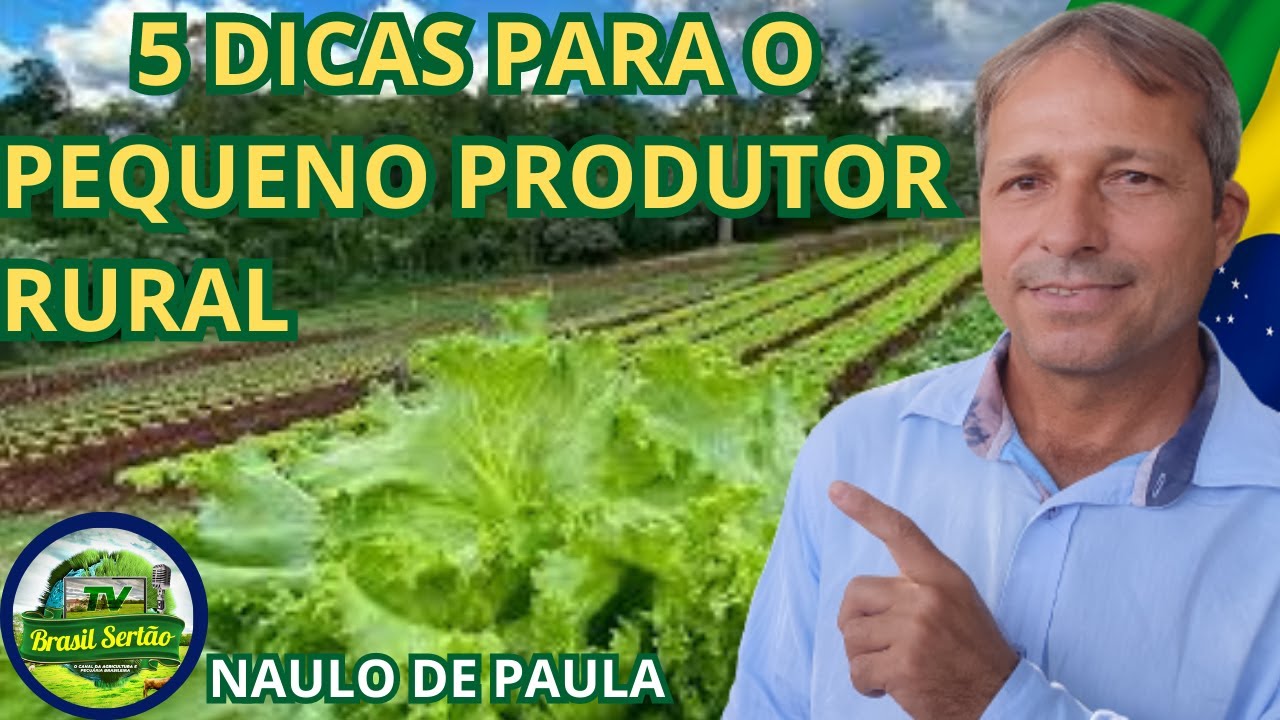 5 DICAS PARA O PEQUENO PRODUTOR RURAL
