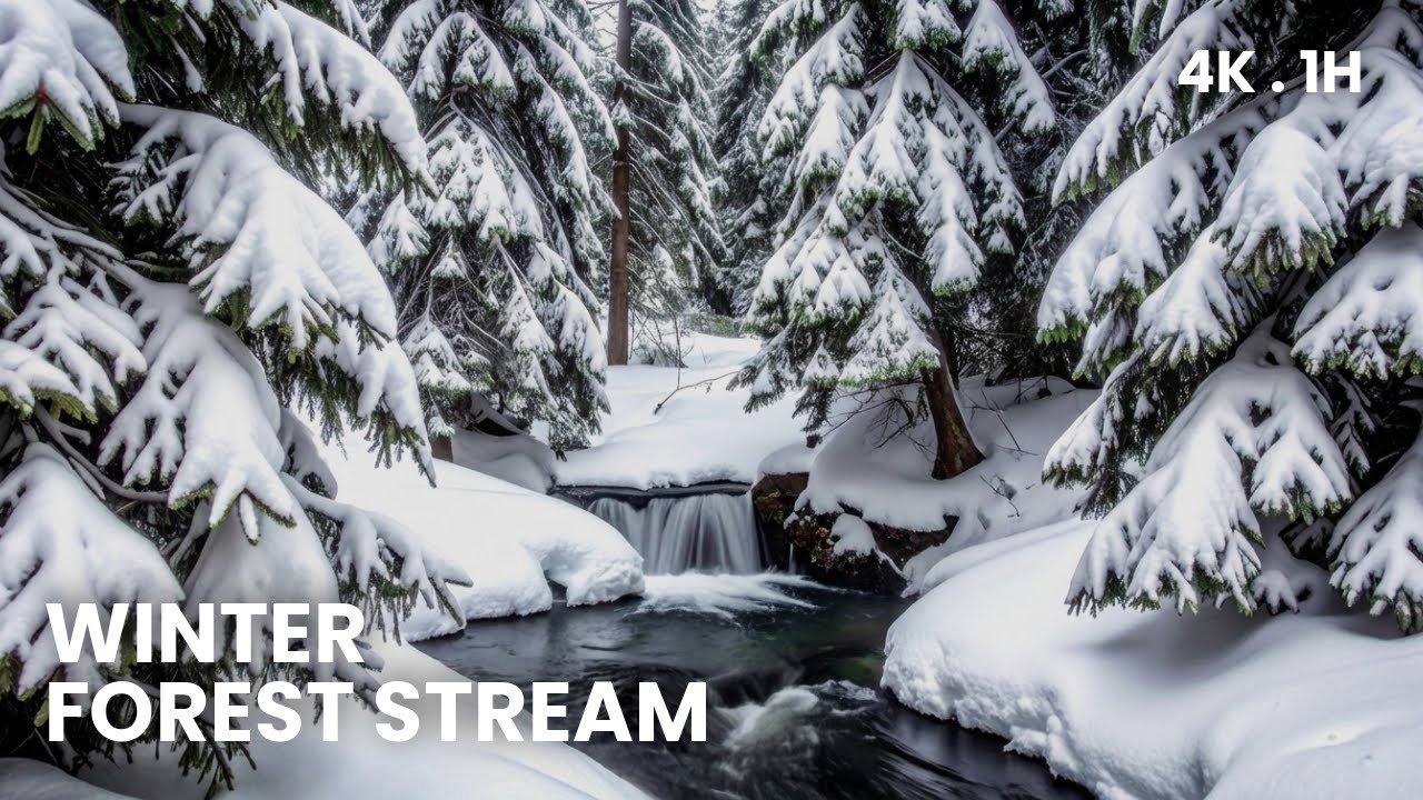 Winter Forest Stream – Relaxing Snowy Creek Sounds (4K • 1H)