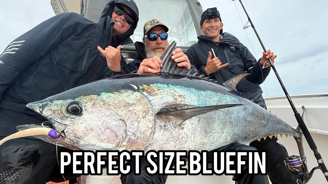 Catching another PERFECT sized early season Bluefin Tuna