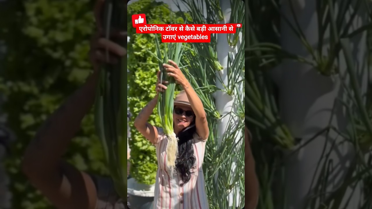 we use an iconic mineral nutrient solution to ensure optimal plant health and growth 