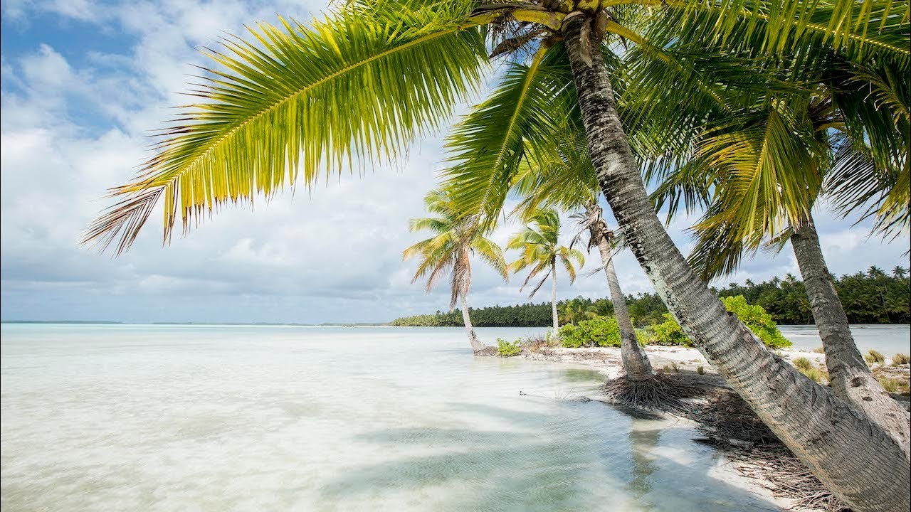 Sailing Around the Coconut Tree | Lines To Hawaii | E7