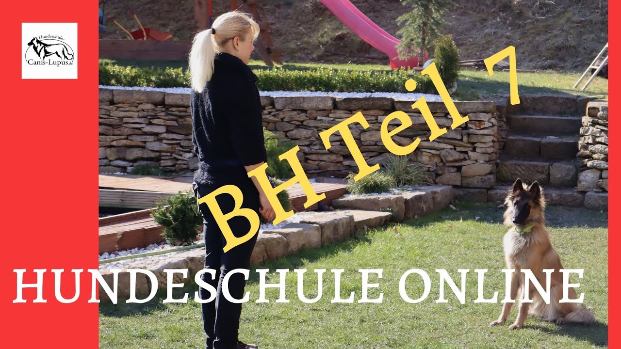 Begleithundeprüfung richtig Aufbauen #7