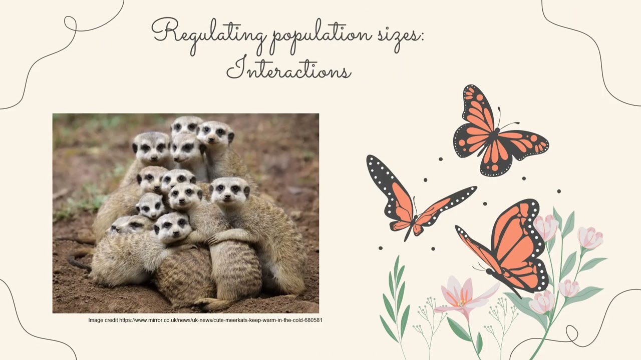IB Biology Topic C4.1 Populations and communities