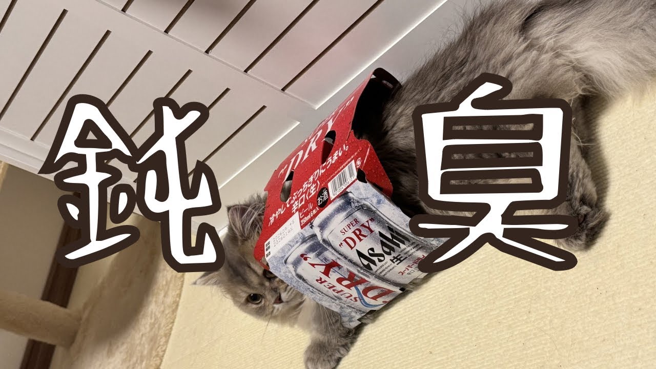 Lanaの鈍臭い瞬間集めてみた