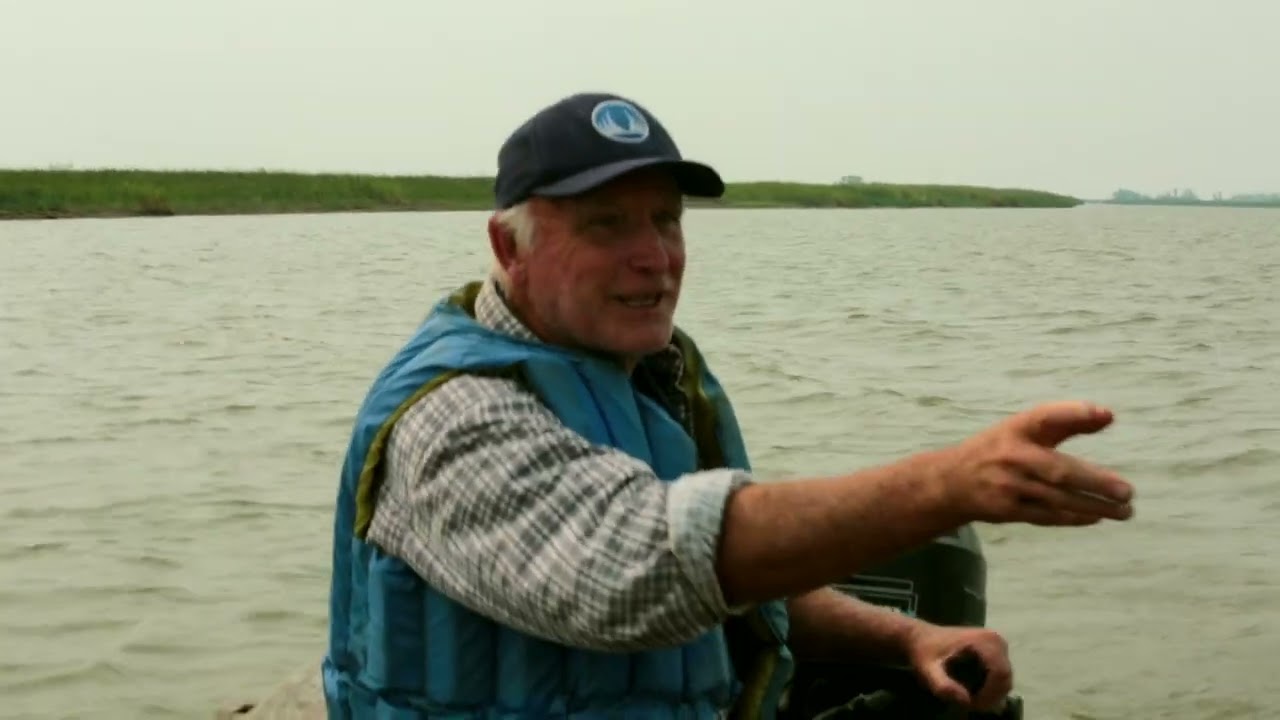 August 10, 2018 - Netley Marsh tour with Charlie M