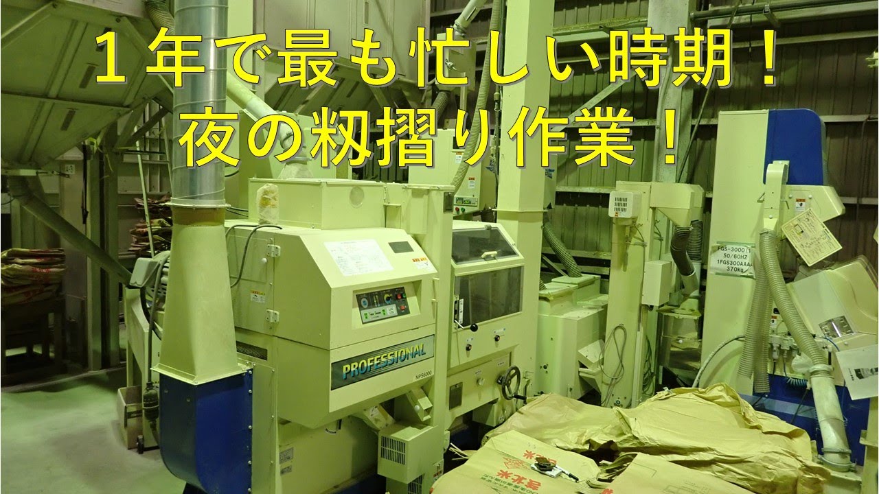 第４３０回　恒例のナイター営業！籾摺り作業がピークです！！