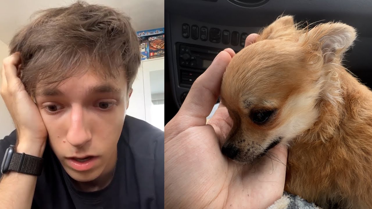 Málem mi Umřel Pes před očima - DayVlog_984 (13.7.2023)