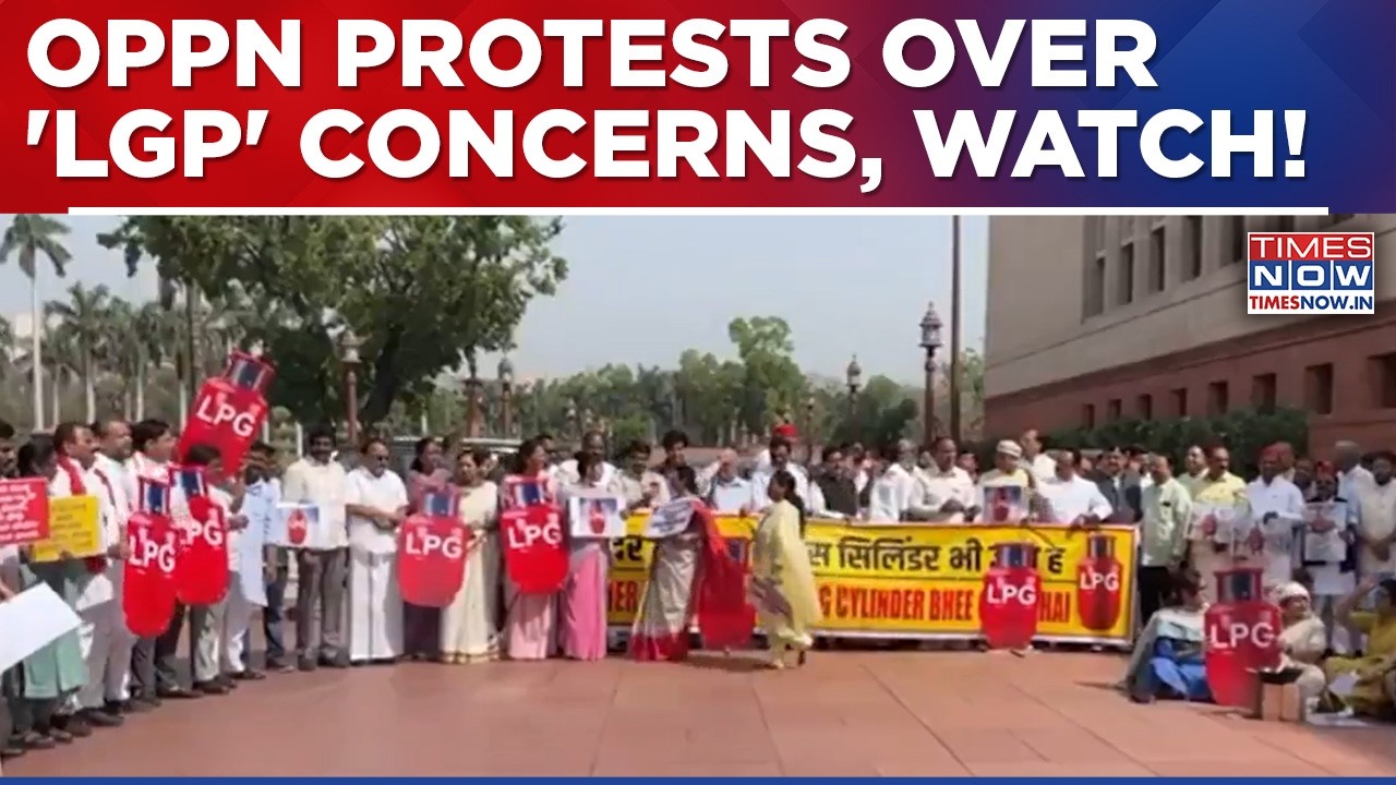 Opposition Parties Hold Protests Outside Parliament Against Centre Over LPG Supply | Ground Report