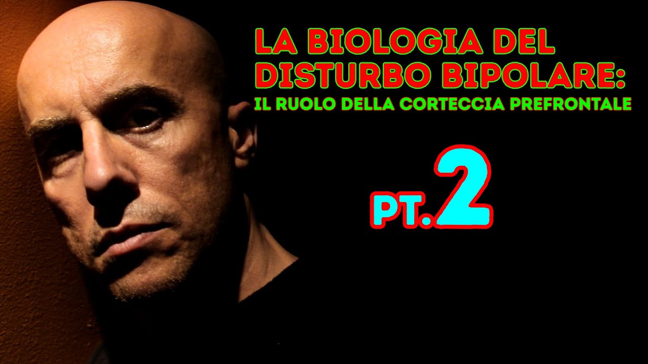 La Biologia del Disturbo Bipolare Pt 2: il ruolo della Corteccia Prefrontale