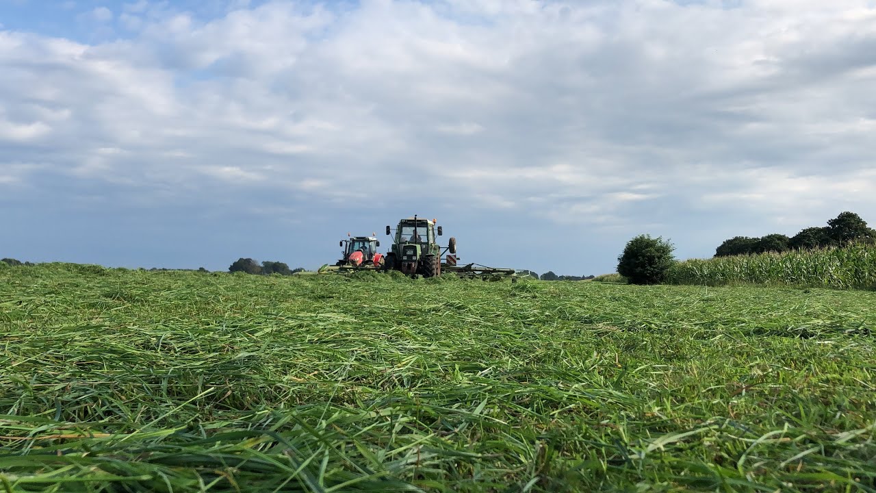 Gras Ernte!!!!