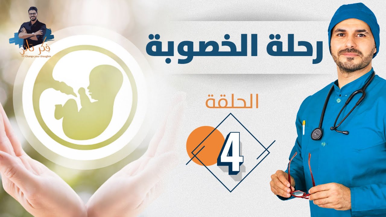 ٤- التغذية السليمة لرفع الخصوبة /الطعام الصحى لرفع الخصوبة