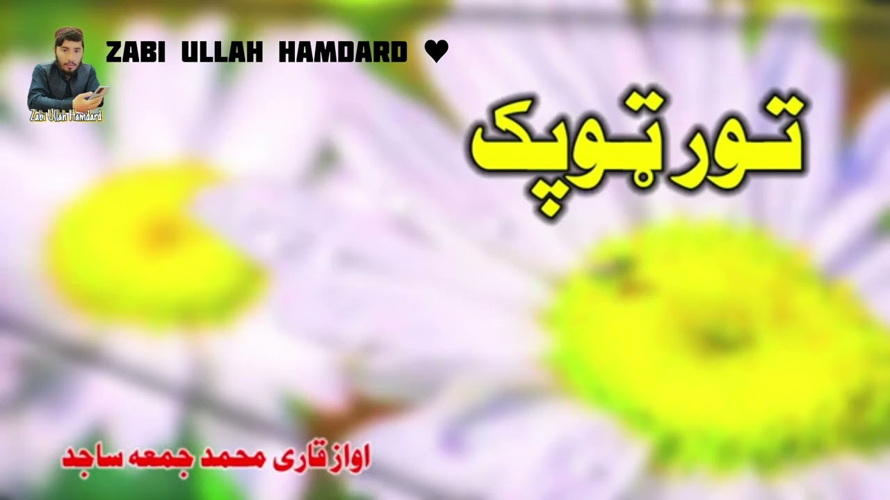 مسته ترانه | نوی ترنم 2023 | آواز قاری محمد جمعه ساجد |