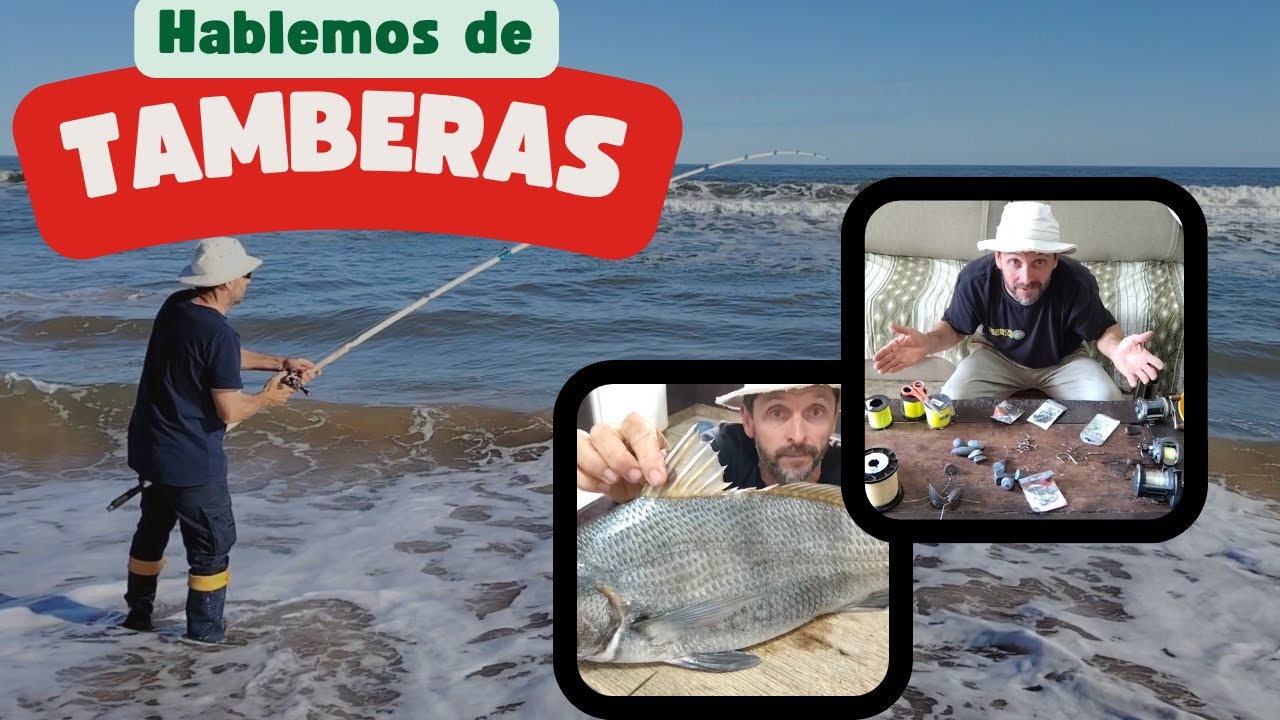 Hablemos de tamberas