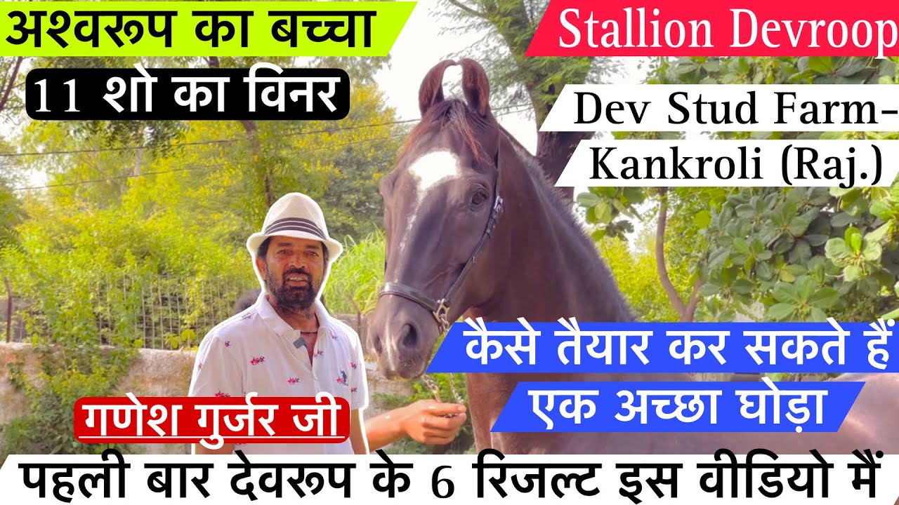 गणेश गुर्जर जी का 11 शो का विनर अश्वरूप का बच्चा देवरूप और उसके रिजल्ट ! (9414171602)