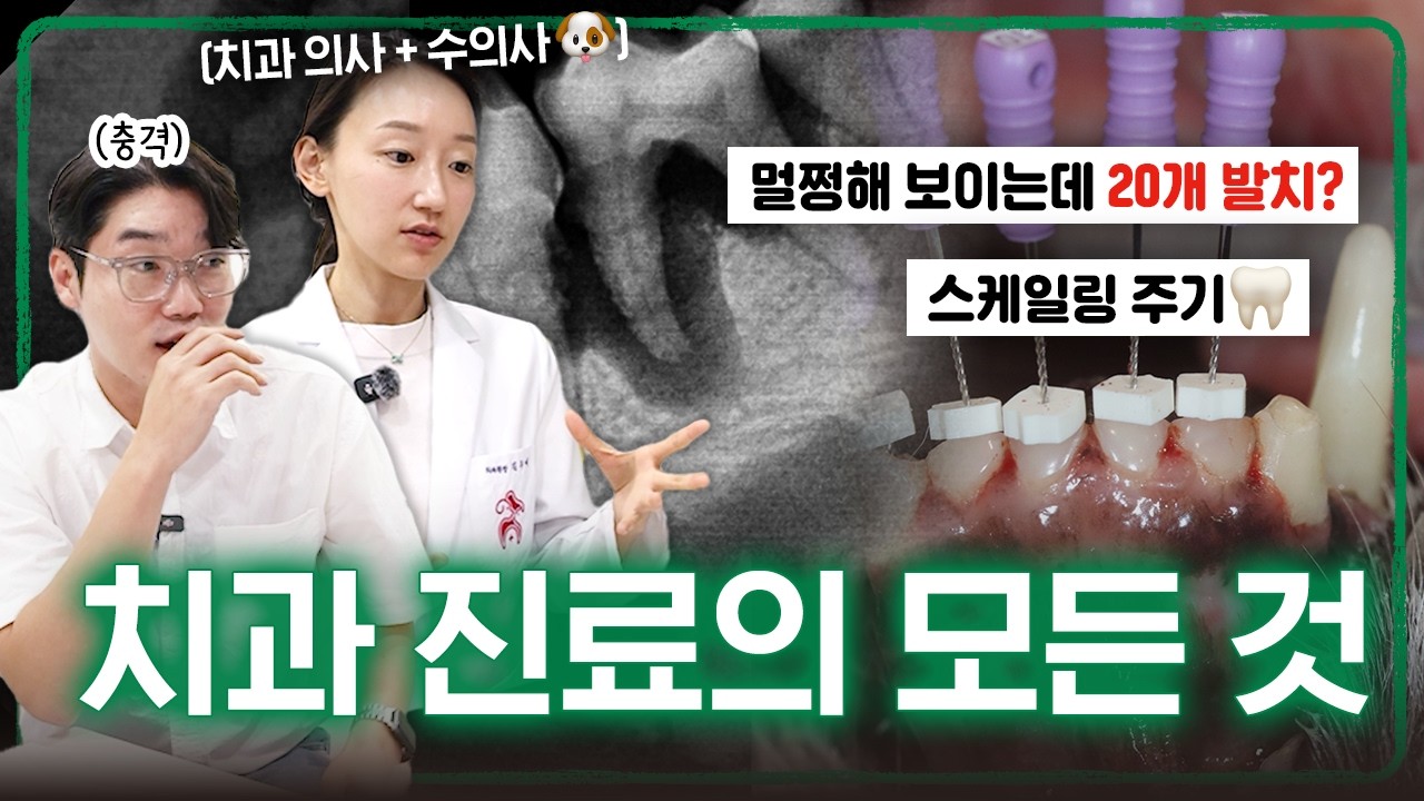 🦷 관리 놓치면 수명까지 줄어요! [강아지 치과 필수 가이드] | 동물병원 파헤치기 치과2편