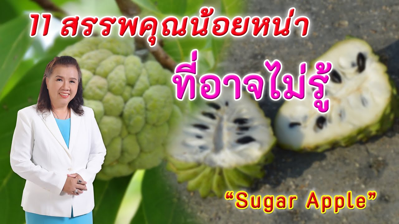 รีบหามากิน !! 11 สรรพคุณน้อยหน่าดีต่อสุขภาพที่คุณอาจยังไม่รู้ | Sugar Apple | พี่ปลา Healthy Fish