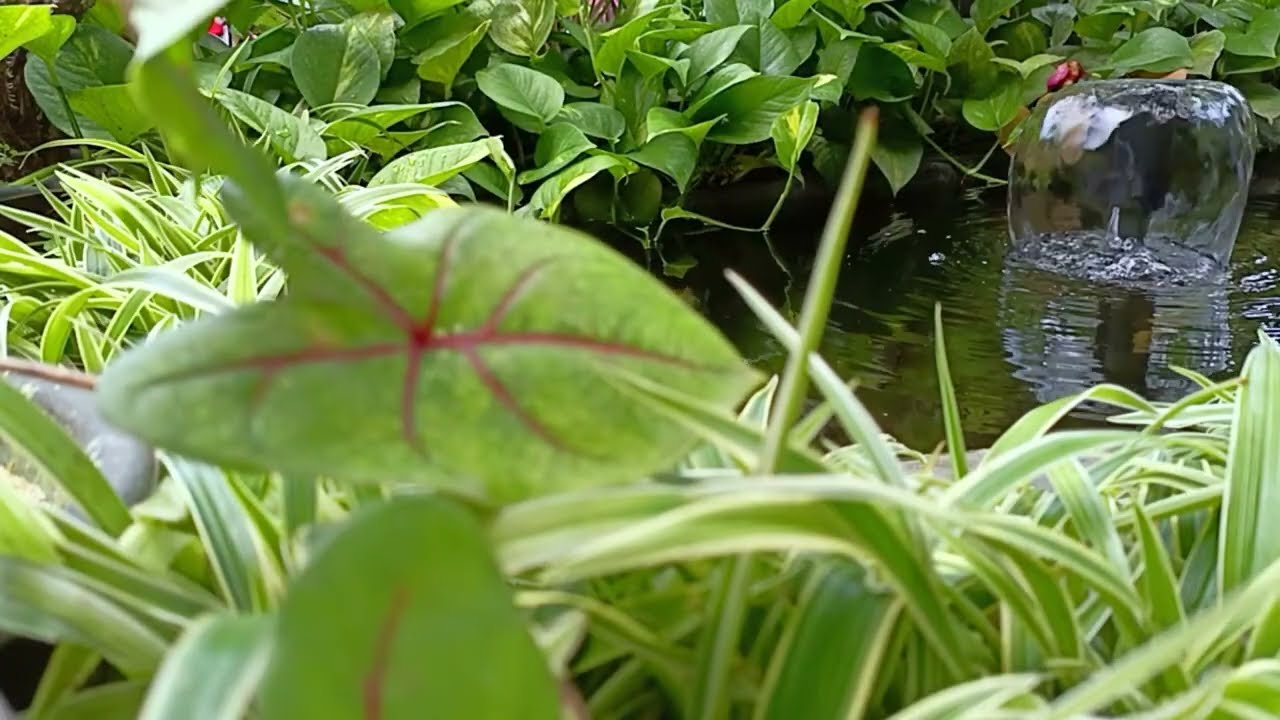 Gentle Piano & Flute with Warm Water Sounds 🌊 Cozy Relaxation for Sleep, Meditation & Stress Relief
