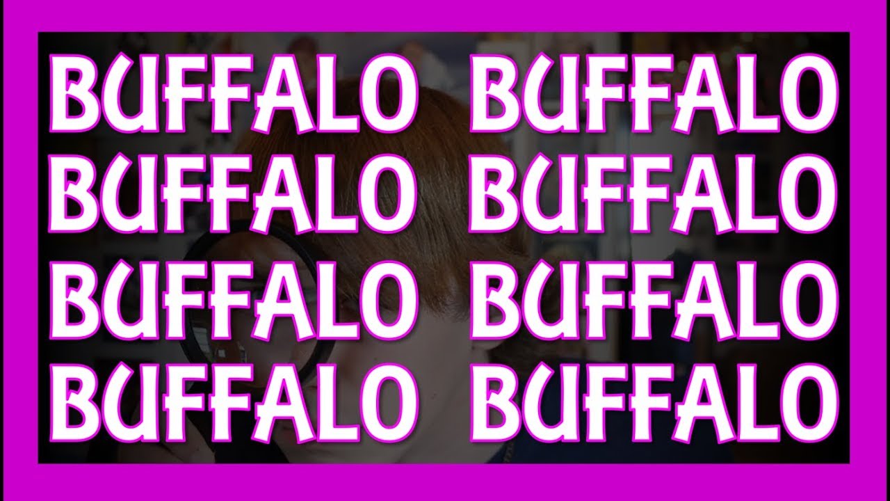 Buffalo Buffalo Buffalo Buffalo Buffalo Buffalo Buffalo Buffalo