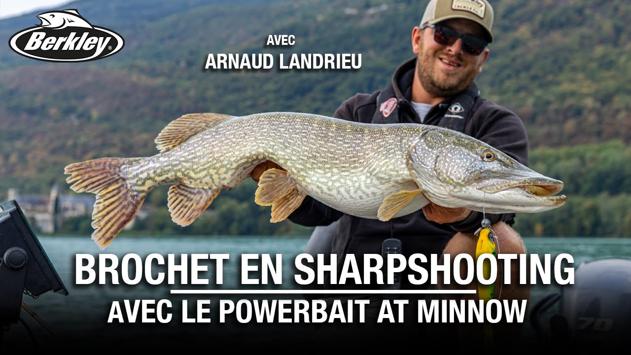 Pêche du BROCHET en sharpshooting avec le Berkley Powerbait AT MINNOW en compagnie d'Arnaud Landrieu