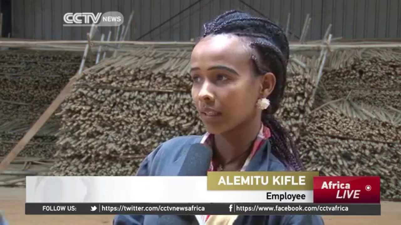 Ethiopian entrepreneurs are using bamboo to make finished goods