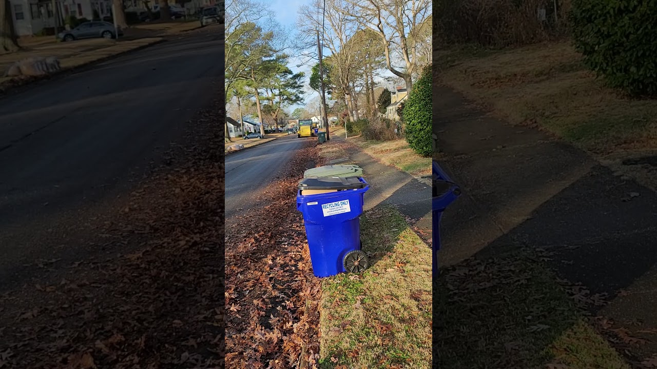 Street Sweeper Vs  Leaves   29 December 2021