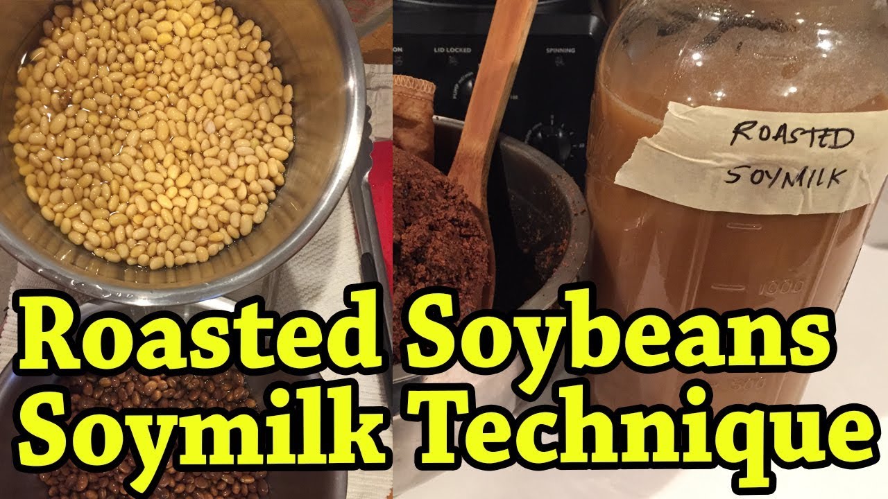 Roasted Soybean Milk | My Plant-based Milk Technique