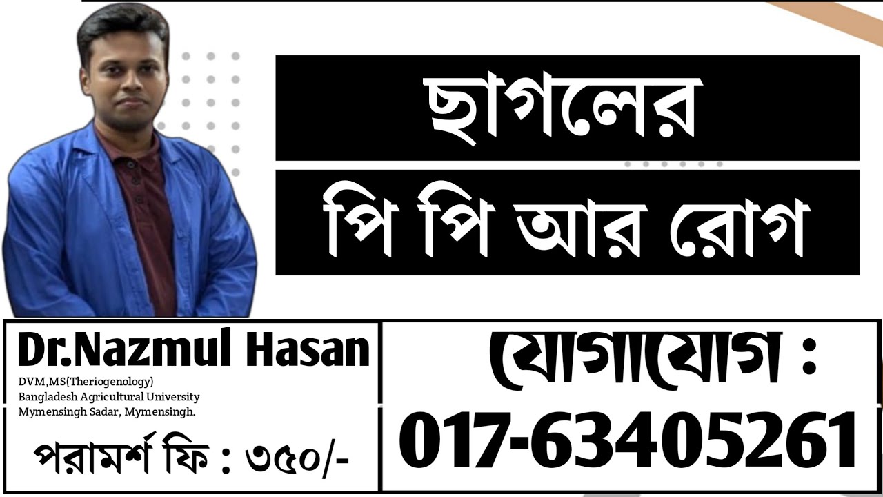 ছাগলের পিপিআর রোগের কারন, লক্ষন, চিকিৎসা (বিস্তারিত আলোচনা) |Dr.Nazmul Hasan-Vet.
