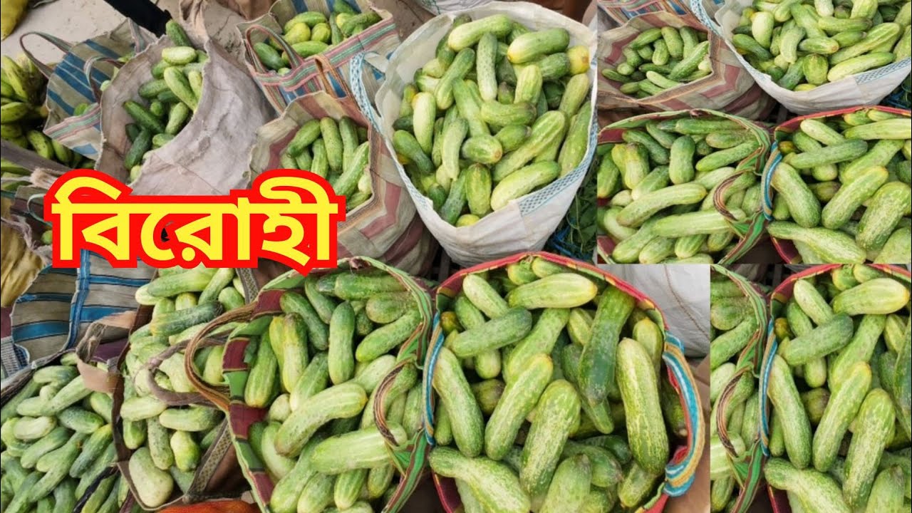 বিরোহী হাটে সবজির দাম আনেক সস্তা। Birohi Sabj Market। Wholesale Vegetable Market in Kolkata ।