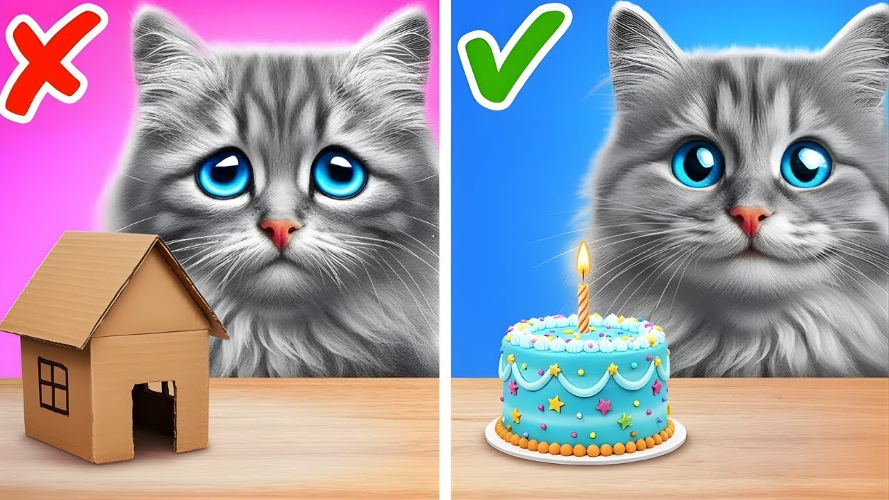 Smart Cat Comfort Lab! 🛠️😻 Pet Crafts & Clever Ideas