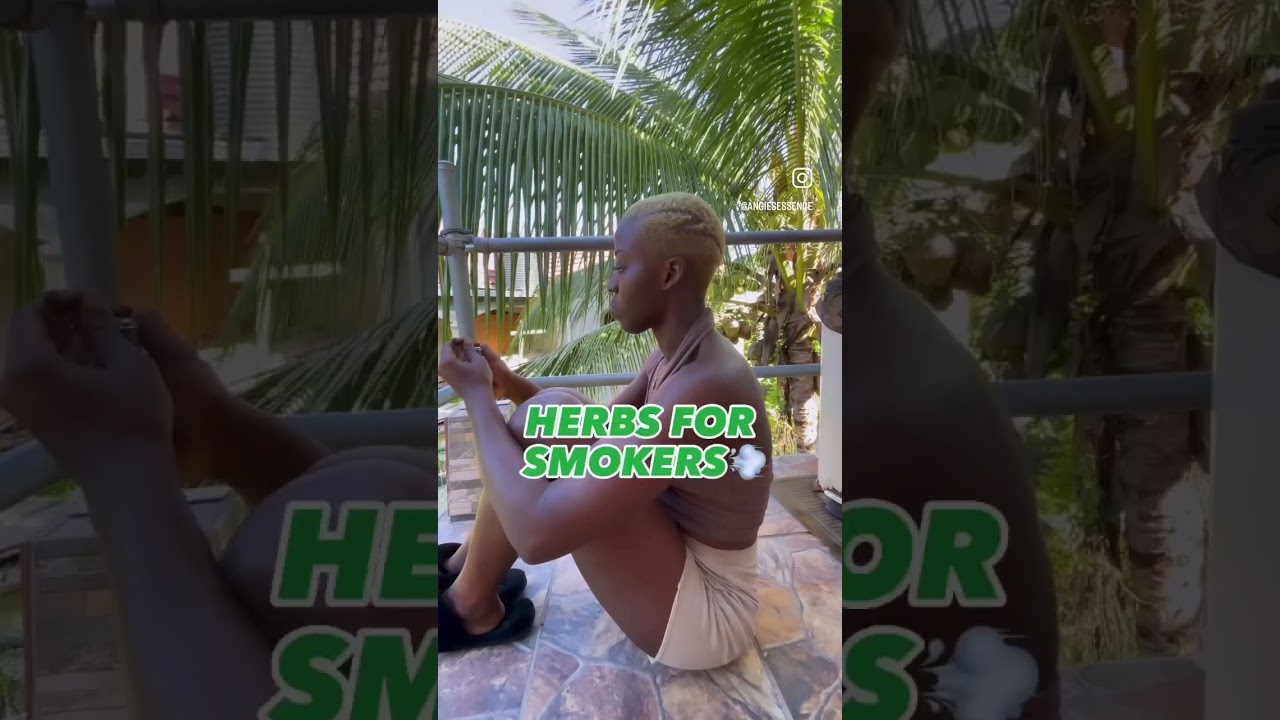 Herbs for Marijuana Smokers