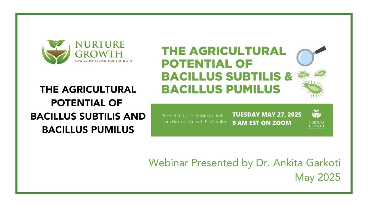 The Agricultural Potential of Bacillus Subtilis and Bacillus Pumilus
