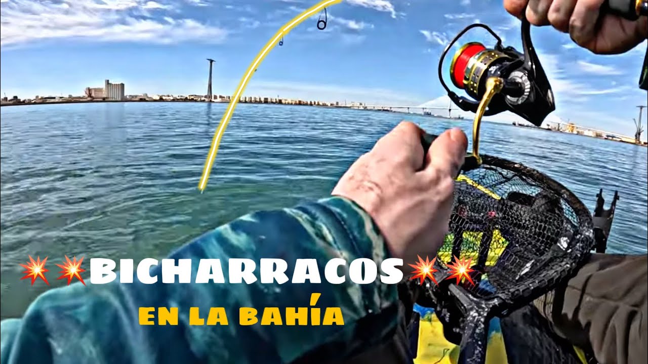 💣 PECES XL EN LA BAHÍA 💣 Vuelta al disfrute TOTAL 🤩 | PESKAY 🎣